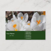 Carte De Visite fleurs blanches de printemps (Dos)