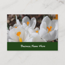 fleurs blanches de printemps