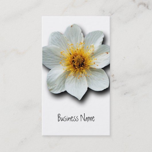 Carte De Visite Fleurs blanches minuscules (Devant)