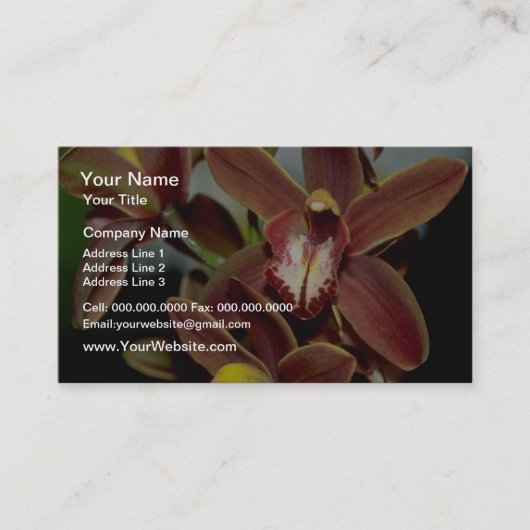 Carte De Visite Fleurs Brown de Cymbidium (Devant)