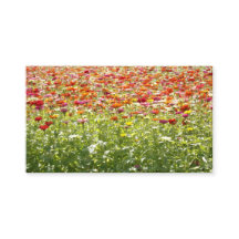 Fleurs colorées de printemps