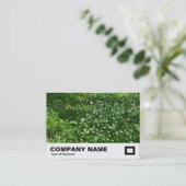 Carte De Visite Fleurs de bois (Debout devant)
