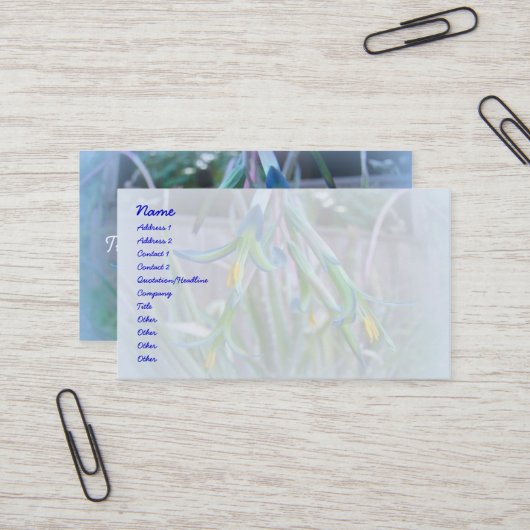 Carte De Visite Fleurs de bromeliade sur bleu (Devant/Arrière en situation)