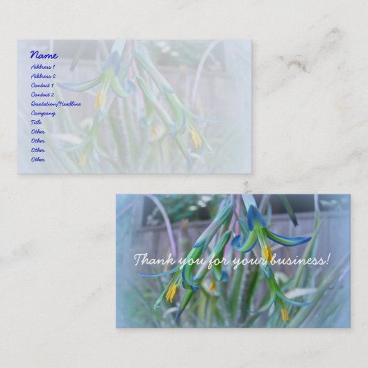 Carte De Visite Fleurs de bromeliade sur bleu (Devant / Derrière)