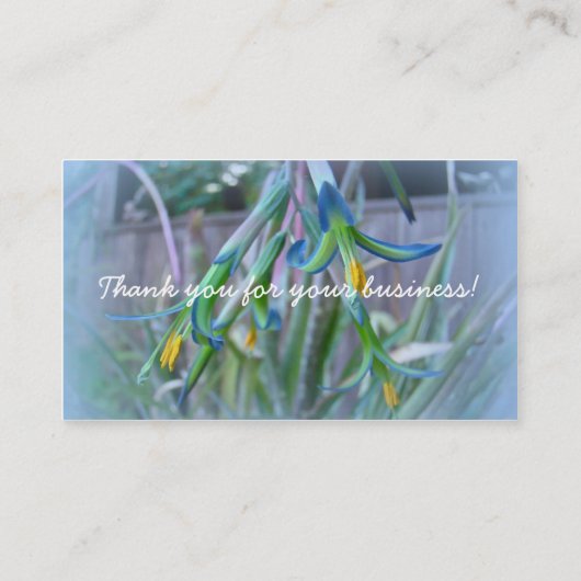 Carte De Visite Fleurs de bromeliade sur bleu (Dos)