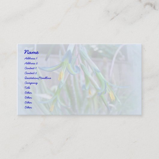 Carte De Visite Fleurs de bromeliade sur bleu (Devant)