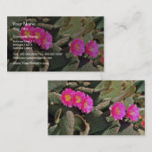 Carte De Visite Fleurs de cactus de Beavertail (Devant / Derrière)