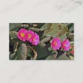 Carte De Visite Fleurs de cactus de Beavertail (Dos)