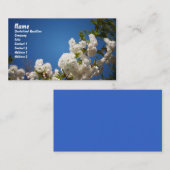 Carte De Visite Fleurs de cerisier blanches sur le fond bleu (Devant / Derrière)