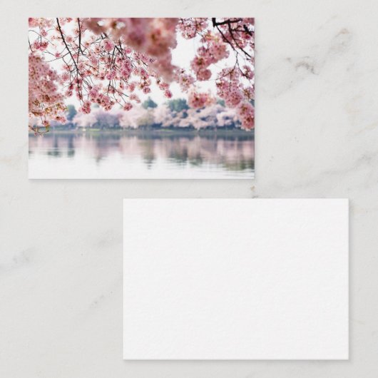 Carte De Visite Fleurs de cerisiers (Devant / Derrière)