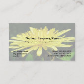 Carte De Visite fleurs de dandelion sauvages. (Dos)