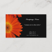 Carte De Visite fleurs de gerbera marguerite orange (Dos)