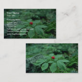 Carte De Visite Fleurs de Ginseng sauvage (Panax Quinquefolius) (Devant / Derrière)