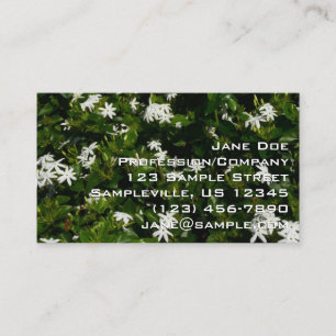 Carte De Visite Fleurs de jasmin floral botanique tropical
