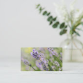 Carte De Visite Fleurs de lavande (Debout devant)