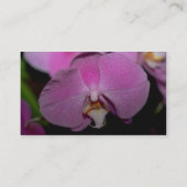 Carte De Visite Fleurs de Phalaenopsis (Dos)