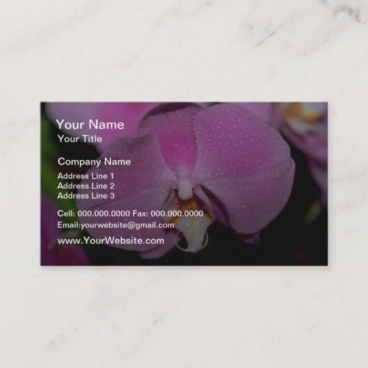 Carte De Visite Fleurs de Phalaenopsis (Devant)
