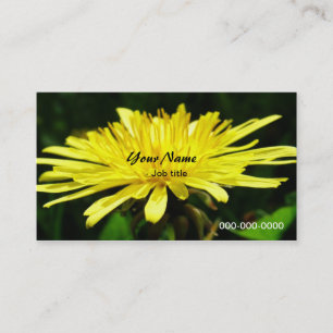 Carte De Visite fleurs de pissenlit sauvages.