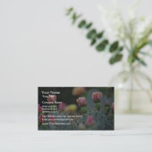 Carte De Visite Fleurs de rose de cactus de Beavertail (Debout devant)