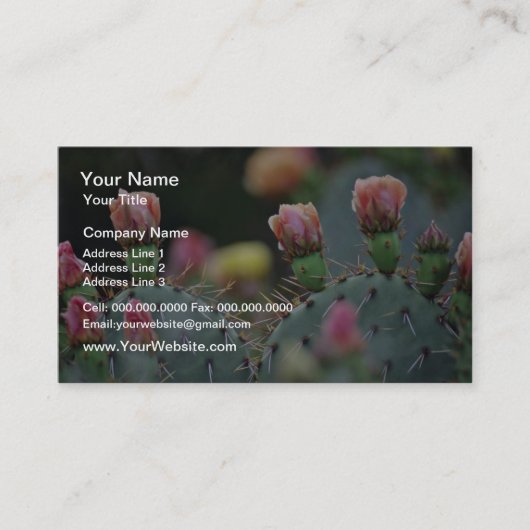 Carte De Visite Fleurs de rose de cactus de Beavertail (Devant)