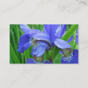 Carte De Visite fleurs d'iris bleues