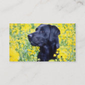 Carte De Visite fleurs jaunes de Labrador (Dos)