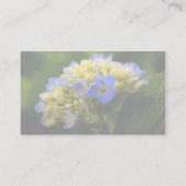 Carte de visite floral bleu doux Hydrangea (Dos)