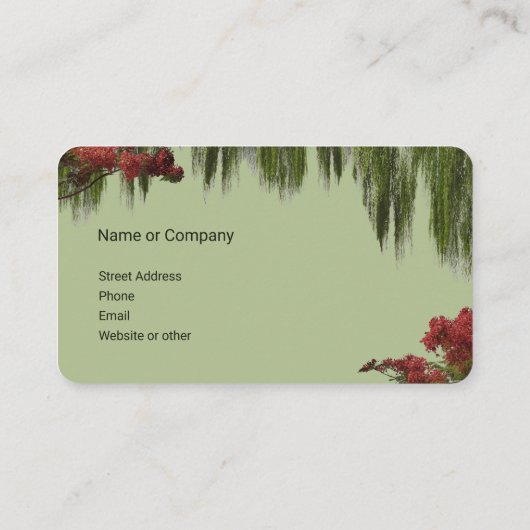 Carte De Visite Floride Nature (Dos)