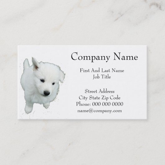 Carte De Visite Fluffy White Puppy Photographie (Devant)