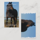 Carte de visite foncé de cheval de baie (Devant / Derrière)