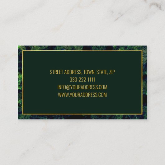 Carte De Visite Fondements Paysage Architecte Vert & Bleu (Dos)