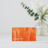 Carte De Visite Fonds Abstraits 07 (Debout devant)