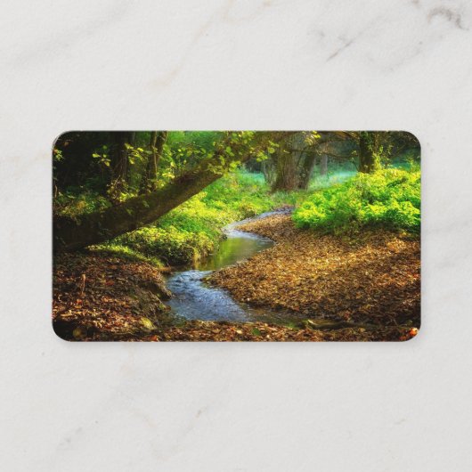 Carte De Visite Forest Creek Belle nature Paysage Photo (Devant)