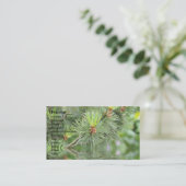 carte de visite forestière (Debout devant)