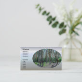 Carte De Visite Forêt Crochée - Pologne (Debout devant)