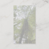 Carte De Visite Fougère d'arbre (Dos)