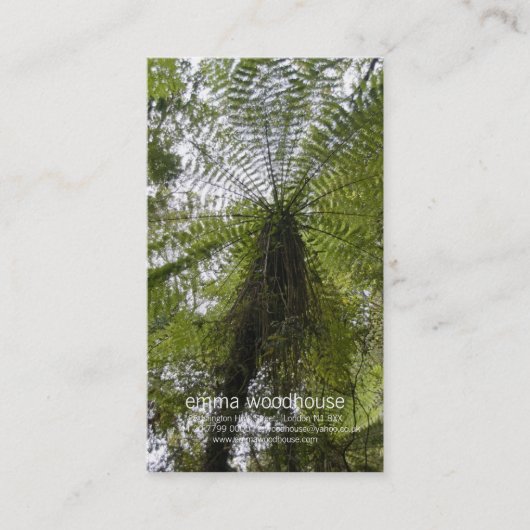 Carte De Visite Fougère d'arbre (Devant)