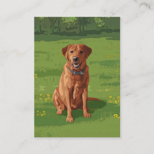Carte De Visite Fox Red Yellow Labrador Retriever Chien (Devant)