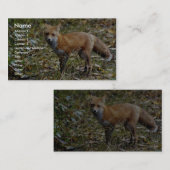 Carte De Visite Fox rouge (Devant / Derrière)