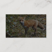 Carte De Visite Fox rouge (Dos)