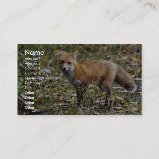 Carte De Visite Fox rouge (Devant)