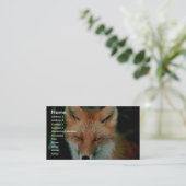 Carte De Visite Fox rouge (Debout devant)