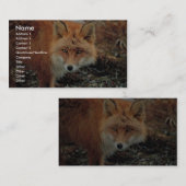 Carte De Visite Fox rouge au cap Newenham (Devant / Derrière)