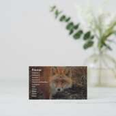 Carte De Visite Fox rouge au cap Newenham (Debout devant)
