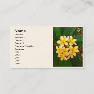 Carte De Visite Frangipani hawaïen