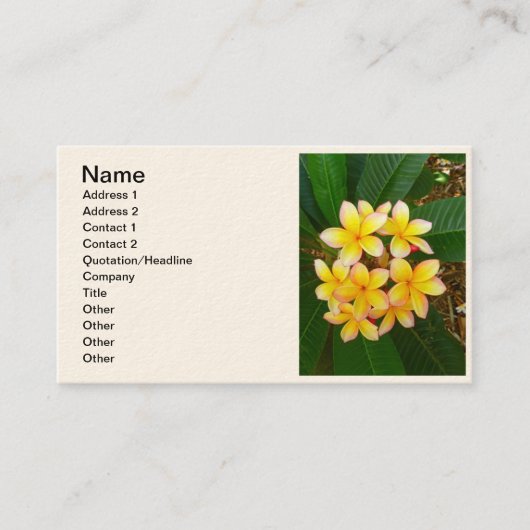 Carte De Visite Frangipani hawaïen (Devant)