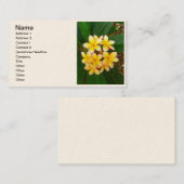 Carte De Visite Frangipani hawaïen (Devant / Derrière)