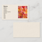 Carte De Visite Frangipani hawaïen (Devant / Derrière)