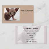 Carte De Visite Freaky Cute Furless (Devant / Derrière)