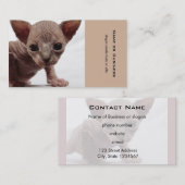 Carte De Visite Freaky Cute Furless (Devant / Derrière)